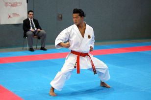 seibukan_Austrian_Champions_Cup_2011_030.jpg