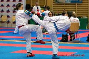 seibukan_Austrian_Junior_Open_2011_069.jpg
