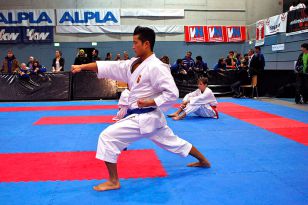 seibukan_Austrian_Karate_Champions_Cup_2010_090.jpg