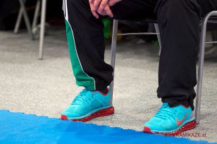 seibukan_Austrian_Karate_Championscup_2015_130.jpg