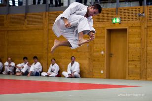 seibukan_Dan_Pruefung_im_Budokan_2014_030.jpg