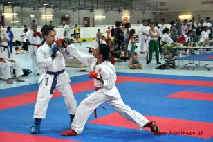 seibukan_Intern_Huegelland_Cup_2012_188.jpg