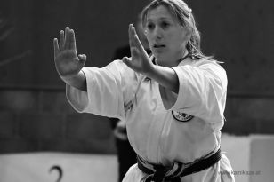 seibukan_KAMIKAZE_Sommercamp_Neuhofen_Krems_2012_245.jpg