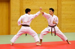 seibukan_Kyu_u_Dan_Pruefung_OOELV_im_Budokan_2014_025.jpg