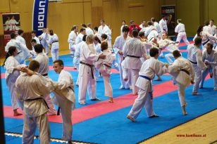 seibukan_Lehrgang_mit_Rafael_Aghayev_2013_031.jpg