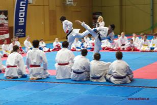 seibukan_Lehrgang_mit_Rafael_Aghayev_2013_075.jpg