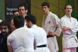 seibukan_Lehrgang_mit_Rafael_Aghayev_2013_116.jpg