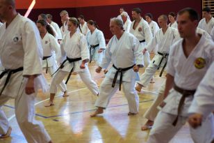 seibukan_OEKB_Tag_Wels_2011_062.jpg
