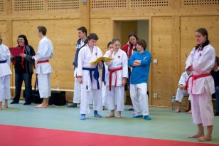seibukan_OOE_Landesmeisterschaft_2011_035.jpg