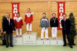 seibukan_OOE_Landesmeisterschaft_2011_135.jpg