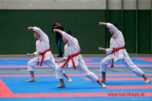 seibukan_OOE_Landesmeisterschaft_Lambach_2016_004.jpg
