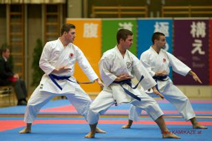 seibukan_Oesterr_Staatsmeisterschaft_und_OEM_in_Wels _2015_052.jpg