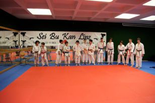 seibukan_Vereinsmeisterschaft_Kinder_Jugend_2011_001.jpg