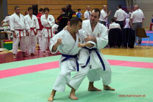 seibukan_WADO_KAI_Europameisterschaft_2012_201.jpg