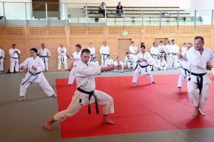 seibukan_2_OEKB_Tag_Trainerfortbildung_2010_009.jpg