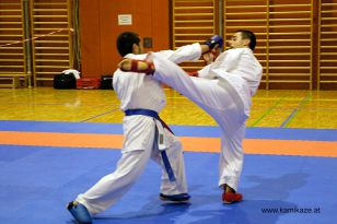 seibukan_Askoe_Bundesmeisterschaft_Kirchdorf_2012_115.jpg