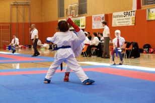 seibukan_Askoe_Landesmeisterschaft_in_Linz_Kirchdorf_2015_199.jpg