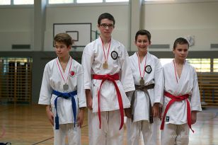 seibukan_Askoe_OOEKarate_Landesmeisterschaft_2013_075.jpg