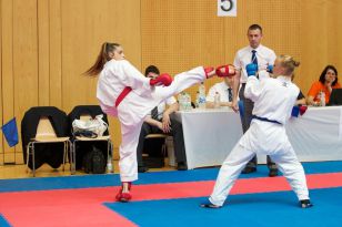 seibukan_Austian_Junior_Open_2013_101.jpg
