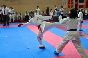 seibukan_Eurocup_Mittersill_2013_020.jpg