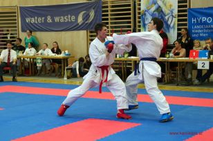 seibukan_Goju_und_Wado_OEM_Brunn_am_Gebirge_2013_073.jpg