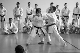 seibukan_KAMIKAZE_Sommercamp_Neuhofen_Krems_2012_070.jpg