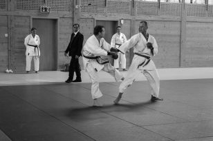 seibukan_Kyu_und_Dan_Pruefung_des_OKB_im_Budokan_2013_127.jpg