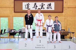 seibukan_OOE_Junioren_Landesmeisterschaft_Wels_2009_057.jpg