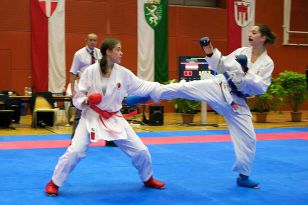 seibukan_Oesterreichische_Nachwuchsmeisterschaft_2010_085.jpg