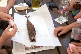 seibukan_Rad_und_Badetag_2013_047.jpg