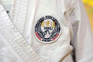seibukan_VIII_Oesterr_Goju_Ryu_Wado_Ryu_Meisterschaft_2010_016.jpg