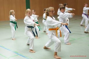 1500892087-wagrein1714.jpg