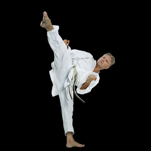 Sensei Hubert Havlik