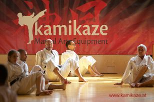 seibukan7_Internationales_Kamikaze_Sommercamp_2015_035.jpg