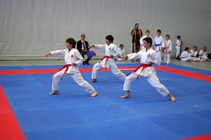 seibukan_Askoe_Landesmeisterschaft_Steyr_2009_009.jpg