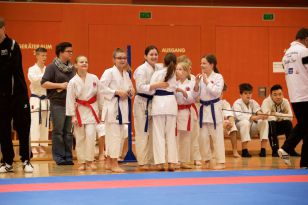 seibukan_Askoe_Landesmeisterschaft_in_Linz_Kirchdorf_2015_052.jpg