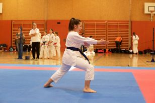 seibukan_Askoe_Landesmeisterschaft_in_Linz_Kirchdorf_2015_091.jpg
