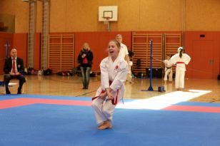seibukan_Askoe_Landesmeisterschaft_in_Linz_Kirchdorf_2015_124.jpg