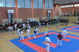 seibukan_EGKF_Senior_Goju_Ryu_Championships_2013_005.jpg