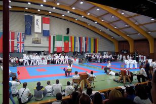 seibukan_Goju_Ryu_EM_Heilbronn_2014_035.jpg