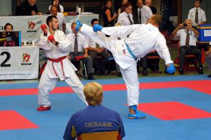 seibukan_Goju_Ryu_EM_Heilbronn_2014_102.jpg