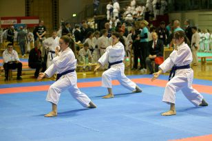 seibukan_Intern_Lions_Cup_Lustenau_2013_030.jpg