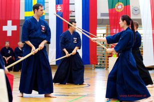seibukan_JODO_Europameiserschaft_in_Linz_2013_047.jpg