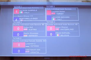 seibukan_Karate1_Premier_League_and_Youth_World Cup_Salzburg_2013_032.jpg
