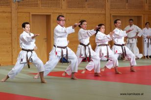 seibukan_Kyu_und_Dan_Pruefung_2013_005.jpg