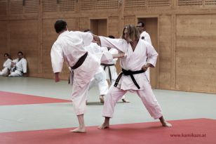 seibukan_Kyu_und_Dan_Pruefung_2014_166.jpg