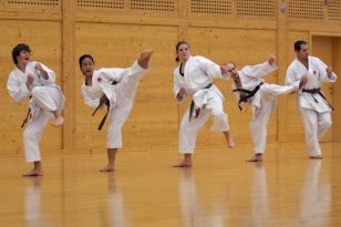 seibukan_OEKB_Danpruefung_2011_014.jpg