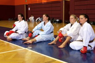 seibukan_OEKB_Tag_Wels_2011_027.jpg