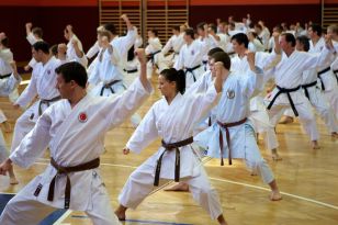 seibukan_OEKB_Tag_Wels_2011_058.jpg