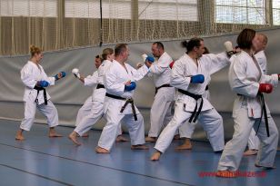 seibukan_Trainerfortbildung_2016_057.jpg